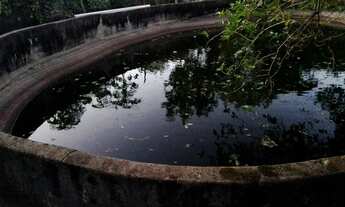 Imagem 2: Oportunidade Única!!! Chácara com 2.100m² a 300 metros da Praia de Itapebussus!!!