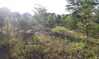 Imagem 5: Chácara de 9.000 m² às margens do Rio das Velhas em Curvelo