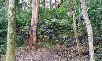 Imagem 5: Terreno para venda - Jardim Santo Antônio Arujá/SP