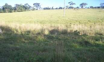 Imagem: Faz. Centenária Elô