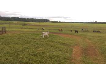 Imagem 3: Fazenda com 58,5 alqueires / lavoura e gado