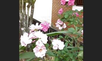 Imagem 4: Casa com 3 dormitórios para alugar, 320 m² por R$ 5.800,00/mês - Jardim Virginia - Guarujá