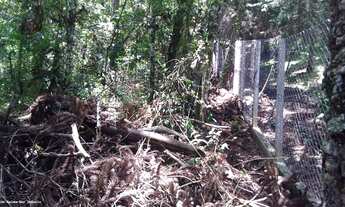 Imagem 6: Terreno Residencial para Venda em Campos do Jordão, Atalaia