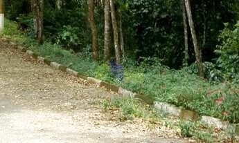 Imagem: Lote em Condomínio para comprar Sausalito