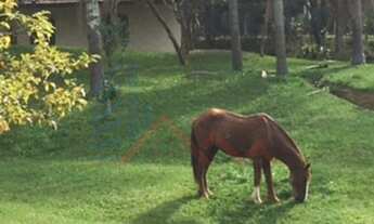 Imagem 3: Chácara CAÇAPAVA - SP