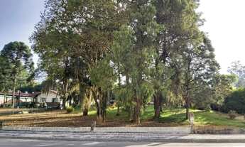 Imagem 2: TERRENO URBANO COMERCIAL - CENTRO - RIO NEGRINHO