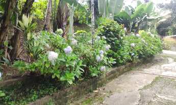 Imagem 2: Chácara 2.581 m² localizada 1,5 km da Rodovia em Juquitiba-SP