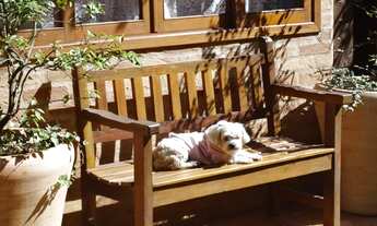 Imagem 3: Casa de condomínio à venda na Serra da Cantareira à venda 250 m², 3 quartos, piscina, Mair