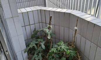 Imagem 5: Apartamento com 2 dormitórios à venda, 90 m² por R$ 530.000,00 - Barcelona - São Caetano d