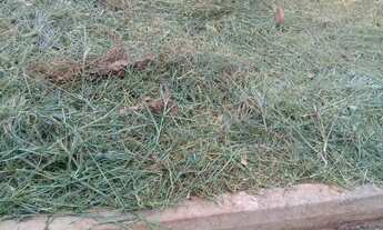 Imagem 3: Terreno no Bairro Set Valley I em São José do Rio Preto-SP