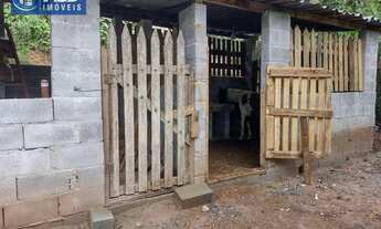 Imagem 3: Chácara com 2 dormitórios à venda, 2580 m² por R$ 600.000,00 - Jardim Eldorado - Santa Isa