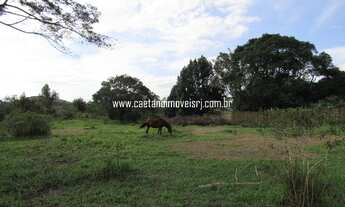 Imagem 2: Terreno de 4.000m² todo plano e gramado - Oportunidade única!