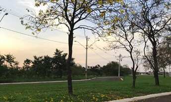 Imagem 4: Lotes de 275 metros quadrados no Jardim das Américas em Bariri/SP