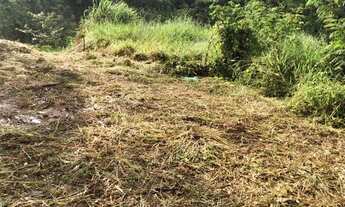 Imagem 4: Terreno em Jarinu SP / 250m² / 50m do Asfalto