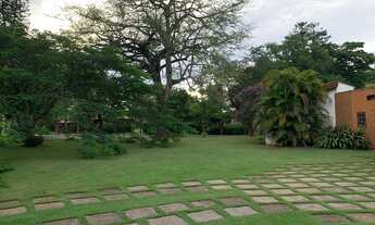 Imagem 7: Casa super aconchegante com dois terrenos