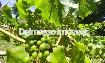 Imagem 3: COD.6047 - IBIÚNA, CHÁCARA COM 3.000 M² COM VISTA CINEMATOGRÁFICA!