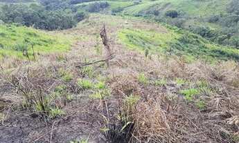 Imagem: FAZENDA - IMOVEL RURAL GEORREFERENCIADO