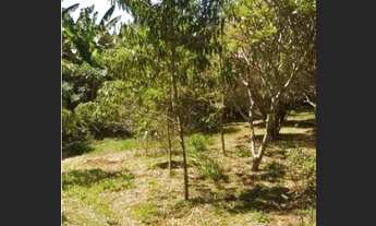 Imagem 3: Chácara em Mairiporã - 7.200 m2 - Área com Piscina e muito verde