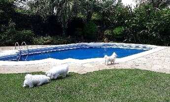 Imagem 4: Casa com 4 dormitórios à venda, 700 m² por R$ 3.000.000,00 - Condomínio Residencial Golfe