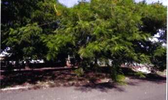 Imagem 2: Quadra 094 - Rua Extrema, Lote 6