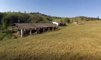 Imagem 5: Fazenda/Sítio/Chácara para venda com 387200 metros quadrados em Centro - Biritiba-Mirim