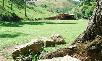 Imagem 3: SÍTIO COM POTENCIAL ECOTURISMO