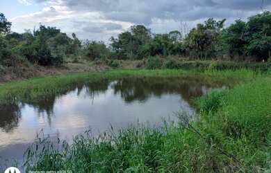 Imagem 5: Fazenda/Sítio/Chácara para venda com 15000 metros quadrados com 3 quartos