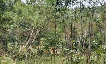 Imagem 5: Terreno com galpão em ipelândia
