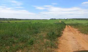Imagem 2: Fazenda 90 Alqueires, Rica em Água com 3 Represas, 60 Alqueires em Cana, 20 Alqueires em P