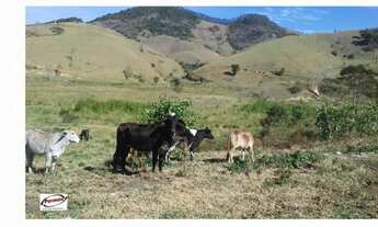 Imagem 2: Fazenda km 51 Tamoios