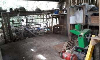 Imagem 4: R$ 490.000 - ÓTIMO SÍTIO - 80.000M2 - GALPÕES - AÇUDE - TRANQUILIDADE E PURA NATUREZA!