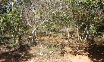 Imagem 2: Terreno de 25 hectares em Curvelo