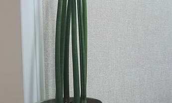 Imagem 6: Aluguel de Consultórios Médicos em Santos no Legacy Tower