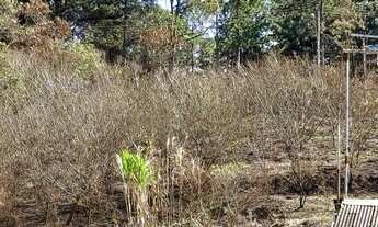 Imagem 2: Área ZUP 1, à venda com 14400 metros quadrados, próximo a rodovia índio Tibiriçá