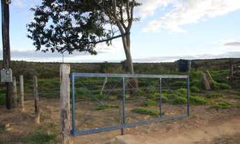 Imagem 7: Terreno de 220 hectares em Curvelo