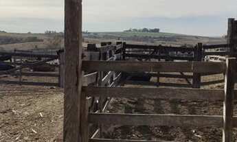 Imagem 2: Sítios à venda em Tietê/SP - Compre o seu sítios aqui!