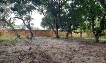 Imagem 4: Fazenda/Sítio/Chácara para venda, na MA 204, tem 1936 m² em Maioba - Paço do Lumiar - MA