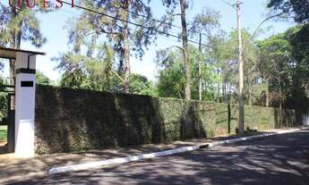 Imagem 3: Excelente chácara na Rota 81 - 9.000m2