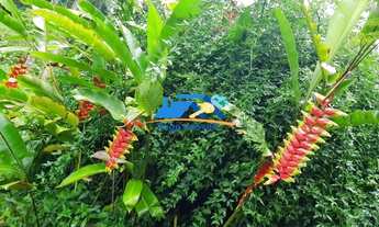 Imagem 7: CHACARA EM NAZARÉ PAULISTA