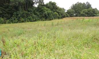 Imagem 4: TERRENO CONTENDA - TE398