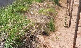 Imagem 5: Terreno À Venda No Ana Cristina