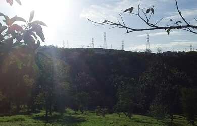 Imagem 3: Fazenda/Sítio/Chácara para venda com 6400 m2 em cocuera