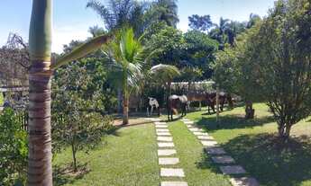 Imagem 3: Sítio Itapira 300 mts do asfalto