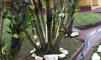 Imagem 4: Chácara 4 dorm, 1 suíte, piscina, campo de futebol, playground, churrasqueira - Arujá