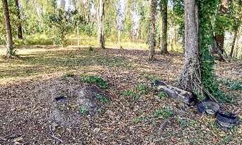 Imagem: Terreno 586 m² Doc ok Aceita Veículos