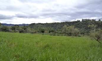 Imagem 6: Fazenda/Sítio/Chácara para venda possui 20,000 metros quadrados em Fazenda Sao Marcos - Bo