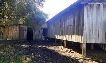 Imagem 3: Área. produtiva para venda com 70ha metros quadrados em São Caetano - Porto Alegre - RS