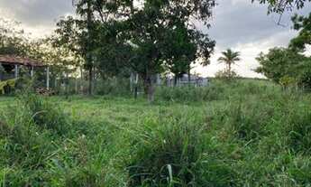 Imagem 6: Fazenda para Venda em Canhotinho, Zona Rural