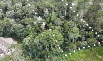 Imagem: Terreno 1.385m2 Lagoas Da Yara (descansópolis)