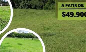 Imagem: TB - Vendo Terreno com ótimo solo